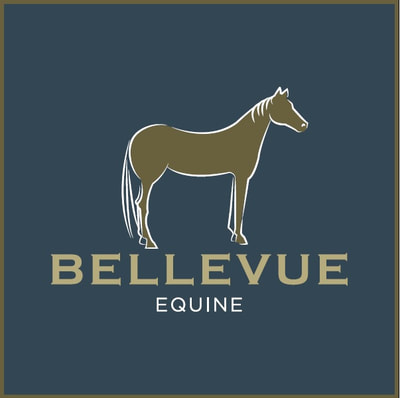 Bellevue Equine Frome