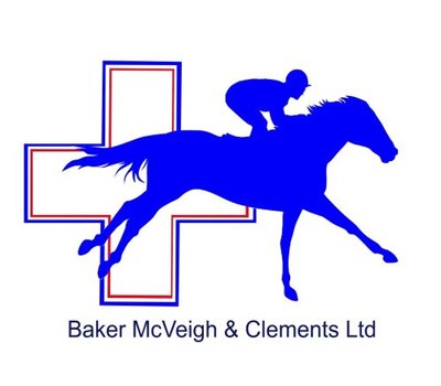 Baker McVeigh Clements Equine Sports Vet Group
