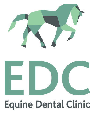 Equine Dental Clinic