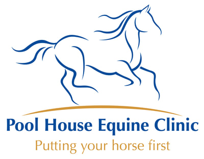 Pool House Equine Clinic