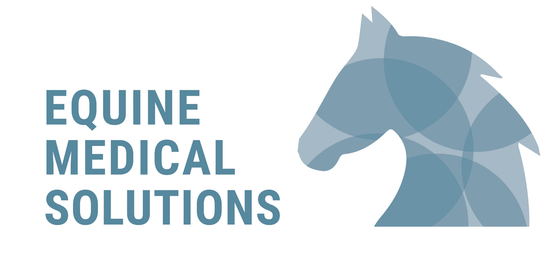 Equine medical solutions logo