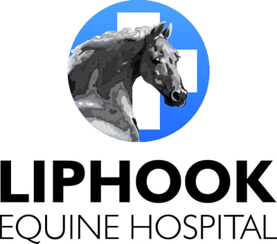 Dedicated equine vets, specialists and laboratory with an outstanding service and friendly advice