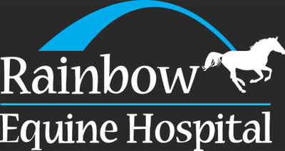 Rainbow Equine Hospital